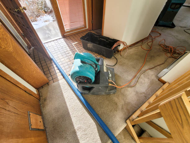 Best Fire Damage Restoration  in East Douglas, MA