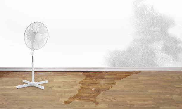 Best Water damage restoration near me  in East Douglas, MA