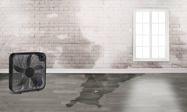 Best Emergency water damage restoration  in East Douglas, MA