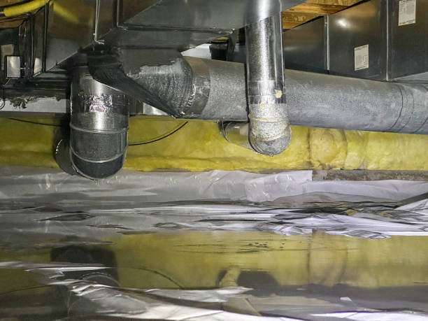 Best Water damage contractors near me  in East Douglas, MA