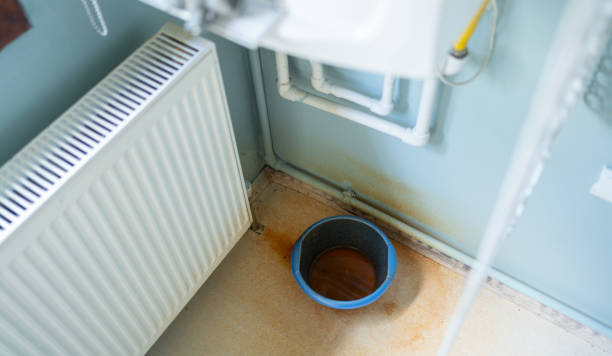 Best Basement water damage restoration  in East Douglas, MA