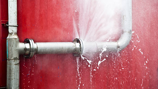 Best Flooded house restoration  in East Douglas, MA